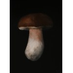 Klaudia Choma, Boletus, greaves and chanterelles, 2024