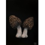 Klaudia Choma, Boletus, greaves and chanterelles, 2024