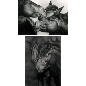 Magdalena Muraszko-Kowalska, Samogitian Horses and Sleeping Samogitian, 2023