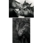 Magdalena Muraszko-Kowalska, Samogitian Horses and Sleeping Samogitian, 2023