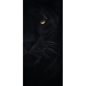 Paulina Wroblewska, Ezra series Wild Eyes.