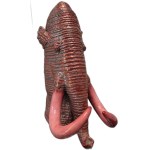 Sergei Zhuravlov, Mammoth