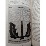 Sowiński Janusz - Sztuka typograficzna Młodej Polski, Ossolineum 1982 [ Knihy o knihách, bibliofilství, tiskařství, Mladé Polsko ].