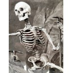 Ernst Platz (1867-1940) - Memento Mori - print from Bruno Wenzl