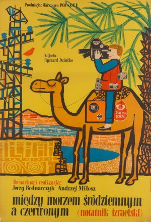 Marian Stachurski (1931 Łany - 1980 ), Plakat do filmu 