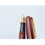 Watermans 502 gold nib pen
