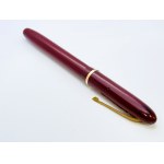 Watermans Champion 501 gold nib pen