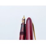 Watermans Champion 501 gold nib pen