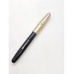 Waterman pen gold nib