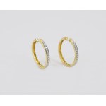 Earrings with diamonds