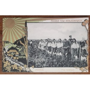 Podolia.By the beets.