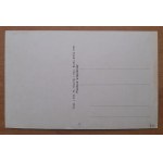 Busko (Zdrój) Excerpt from the Park.