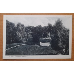 Busko (Zdrój) Fragment from the park.