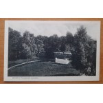 Busko (Zdrój) Fragment from the park.