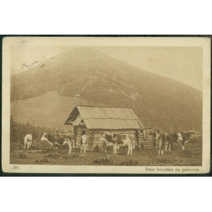 HUCULSZCZYZNA - Hutsul stables on a pub, 281, Photo by L. and M. Heller, Nakł. Aba Heller, Bookg. Nadwórna, sepia print, 1930