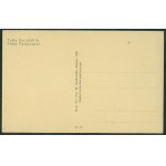 HUCULSZCZYZNA - Hutsul Types, No. 17, Wyd. Art. Fot. M. Senkowski, Kosiv 1928, sepia print,