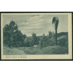 HUCULSZCZYZNA - Road to Javorov, 410, Wyd. Fot. M. Senkowski, Kosow 1930, printed in green...,