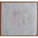 Polish Soldier Czeladź.