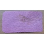 Save the Upper Silesians