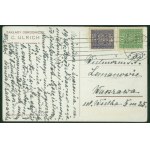 14 WARSAW - Horticultural Works C. ULRICH, Interior of one of the greenhouses in Ulrichow, Zakł. Graf. B. Wierzbicki & S-ka, bronze print, ca. 1930