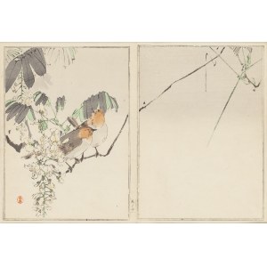 Watanabe Seitei (1852 - 1918 ), Japanese pipits on a robinia branch, 1890