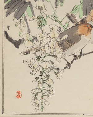 Watanabe Seitei (1852 - 1918 ), 