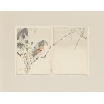 Watanabe Seitei (1852 - 1918 ), Japanese pipits on a robinia branch, 1890