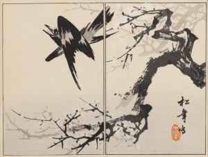 Shonen Suzuki