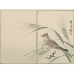 Kobayashi Kiyochika (1847 - 1915 ), 