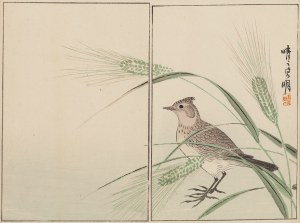 Kiyochika Kobayashi