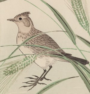 Kobayashi Kiyochika (1847 - 1915 ), 