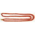 CORAL SURFACE, J. Köhle