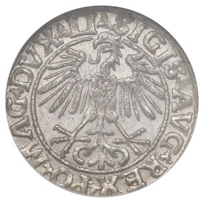 Sigismund II Augustus, Halfgroat 1550, Vilnius - NGC MS63