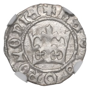 John I Olbracht, Halfgroat without date, Cracow - NGC MS61