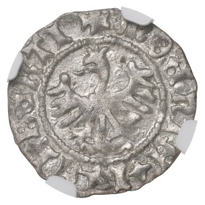 John I Olbracht, Halfgroat without date, Cracow - NGC MS61