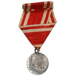Russia, Nicholas II, Medal for diligence