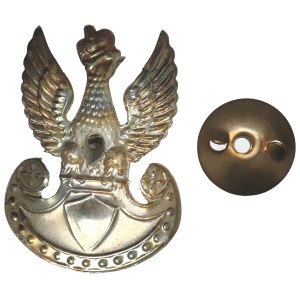 II RP, Eagle wz.19/23 fusillade - Jablonski Poznan