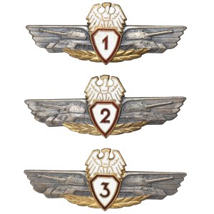 People's Republic of Poland, Tanker badge all 3 classes