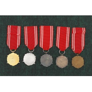 République populaire de Pologne, Ensemble de médailles Forces armées au service de la patrie