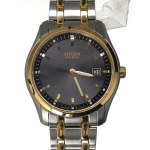 Japan, Citizen Eco-Drive Watch