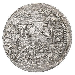 Žigmund III Vasa, Polovičná stopa 1619, Vilnius