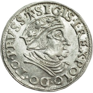 Sigismund I the Old, Trojak 1538, Gdańsk - BEAUTIFUL