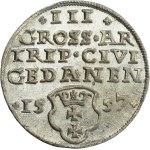 Sigismund II Augustus, Trojak 1557, Gdańsk - RARE