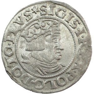 Sigismund I. der Alte, Grosz 1535, Danzig - RARE