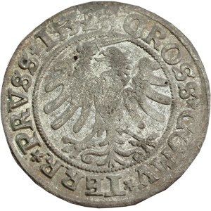 Sigismund I the Old, Grosz for the Prussian lands 1531, Toruń - rare