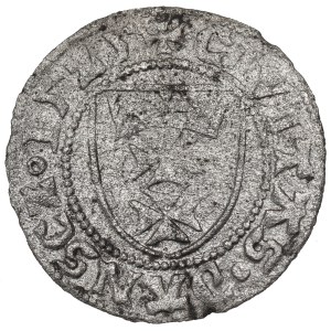 Zygmunt I Stary, Szeląg 1525, Gdańsk