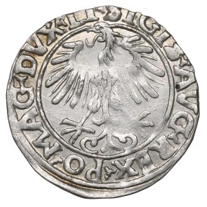 Sigismund II Augustus, half-grosz 1556, Vilnius, LI/LITVA