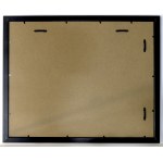 Dahlbergh Erik, Battle of Zarnowiec on September 16, 1655