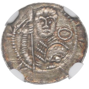 Ladislas II l'Exilé, Denier de Cracovie - combat avec un lion NGC MS63