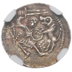 Ladislas II l'Exilé, Denier de Cracovie - combat avec un lion NGC MS63